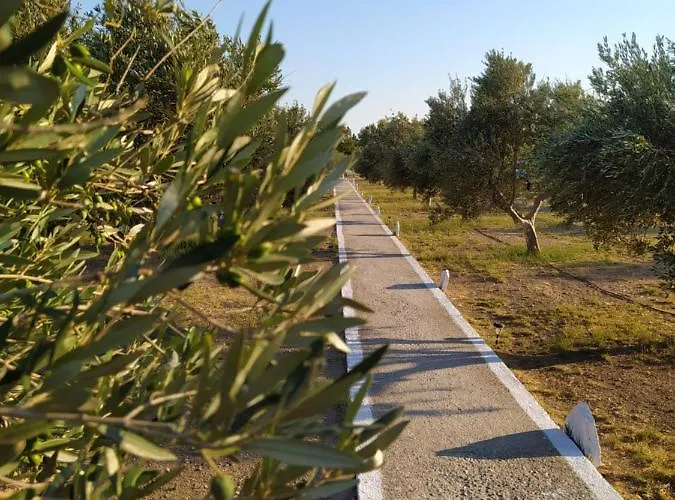 Venus Vendégház Manganári